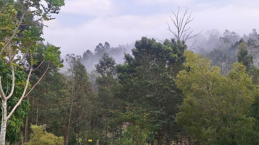 0 Bedroom Property for Sale in Knysna Rural Western Cape